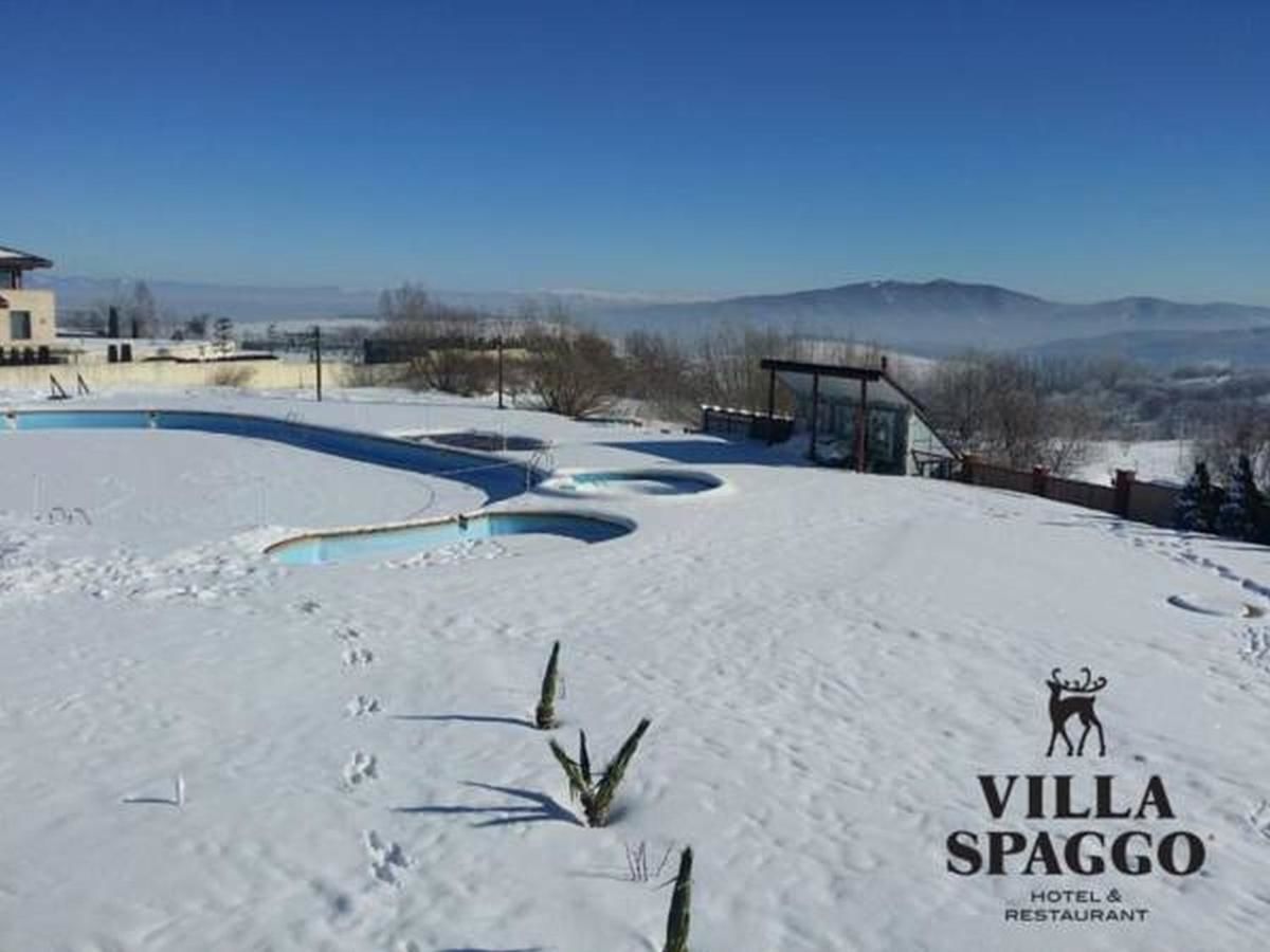 Курортные отели Villa Spaggo Complex Bistritsa-15