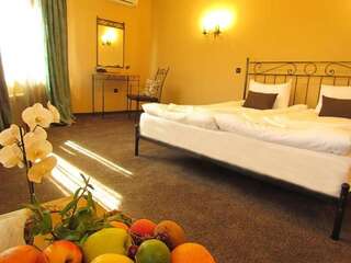 Курортные отели Villa Spaggo Complex Bistritsa Двухместный номер эконом-класса с 1 кроватью-2