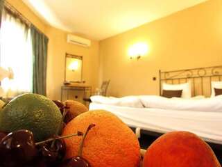 Курортные отели Villa Spaggo Complex Bistritsa Двухместный номер эконом-класса с 1 кроватью-3