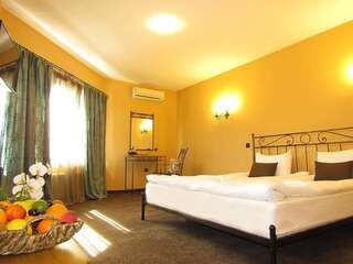 Курортные отели Villa Spaggo Complex Bistritsa Двухместный номер эконом-класса с 1 кроватью-4